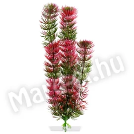 JK Műnövény Red Anacharis 25-28cm 18352