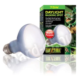 ExoTerra Daylight Basking Spot 75W 2132