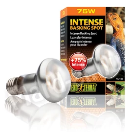ExoTerra Intense Basking Spot 75W 2136