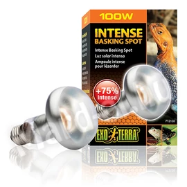 ExoTerra Intense Basking Spot 100W 2138