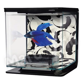 Hagen Marina betta kit ying/yang 2l 13348