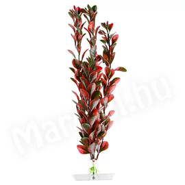 JK Műnövény Red Ludwigia 25-28cm 18322