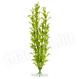 JK Műnövény Hygrophila 25-28cm 18327