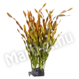 JK Műnövény vallisneria 33cm 18370
