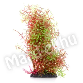 JK Műnövény Rotala zöld-piros 15-20cm 18377