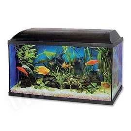 Pacific Akvárium szett Eco Light tetővel 60x30x30cm fekete 54l