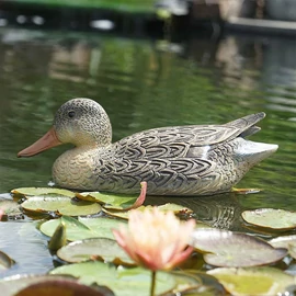 Ubbink Dekor vadkacsa nőstény 1065038